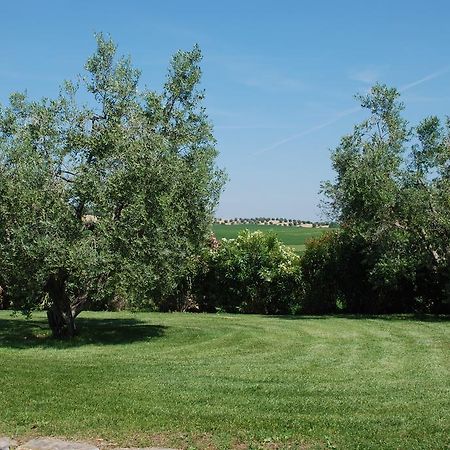 Гостевой дом Agriturismo Le Coccinelle Мальяно-ин-Тоскана Экстерьер фото