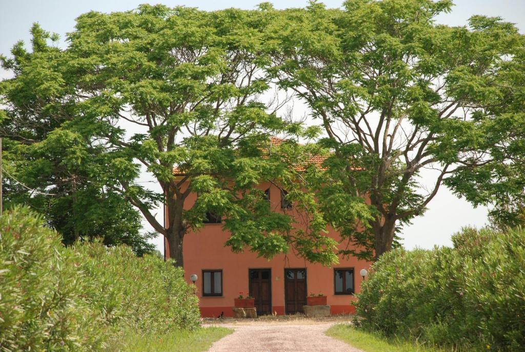 Гостевой дом Agriturismo Le Coccinelle Мальяно-ин-Тоскана Экстерьер фото