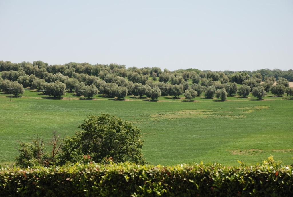 Гостевой дом Agriturismo Le Coccinelle Мальяно-ин-Тоскана Экстерьер фото