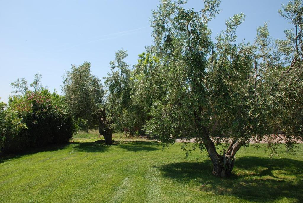 Гостевой дом Agriturismo Le Coccinelle Мальяно-ин-Тоскана Экстерьер фото