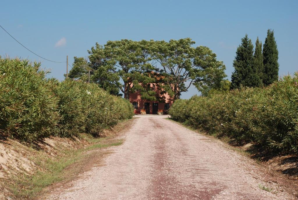 Гостевой дом Agriturismo Le Coccinelle Мальяно-ин-Тоскана Экстерьер фото