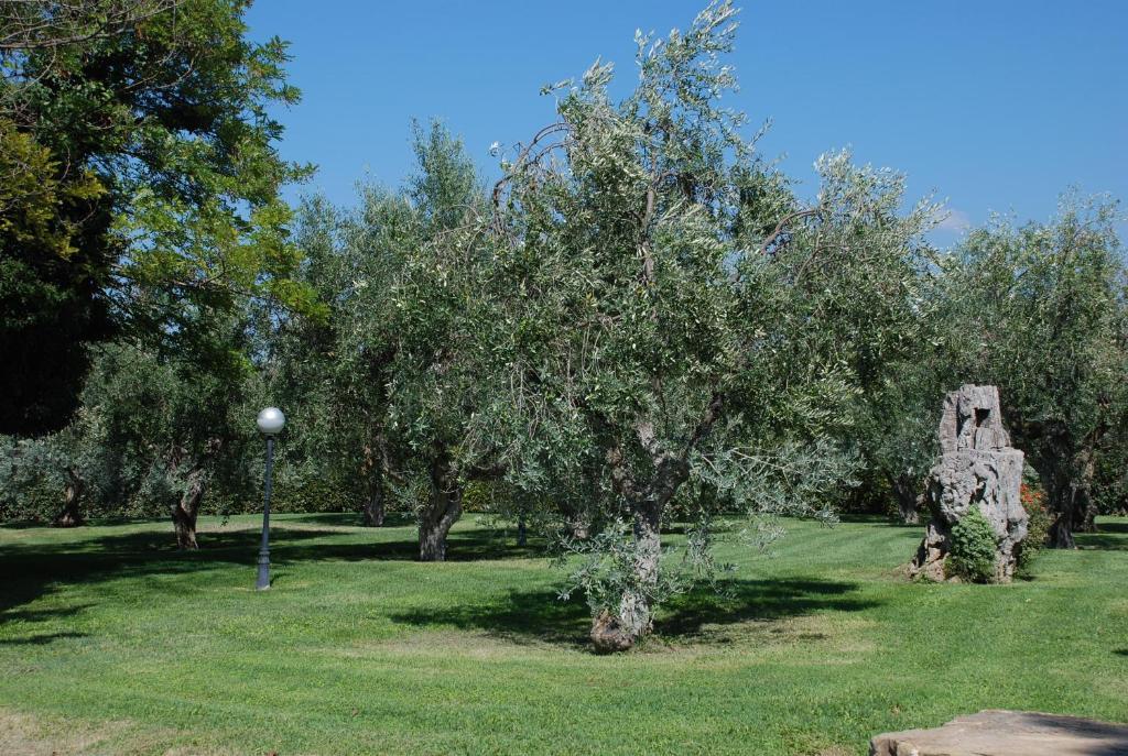 Гостевой дом Agriturismo Le Coccinelle Мальяно-ин-Тоскана Экстерьер фото