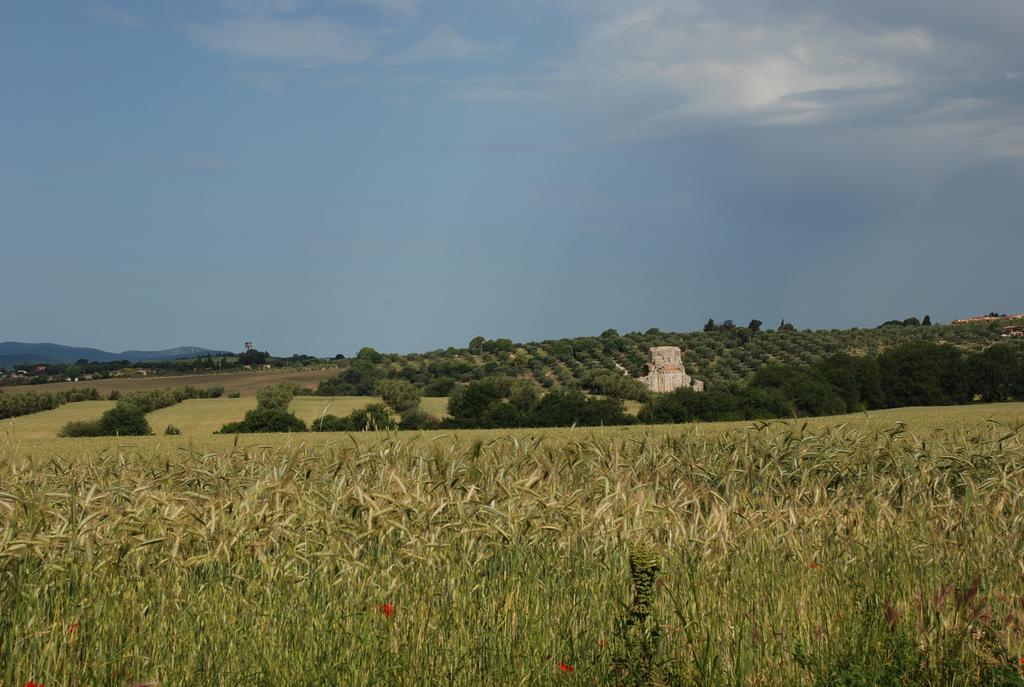 Гостевой дом Agriturismo Le Coccinelle Мальяно-ин-Тоскана Экстерьер фото