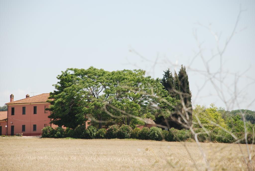 Гостевой дом Agriturismo Le Coccinelle Мальяно-ин-Тоскана Экстерьер фото